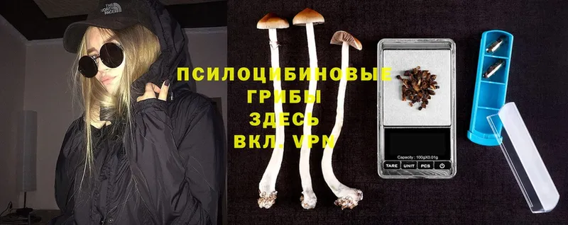 Галлюциногенные грибы Psilocybe  даркнет сайт  Рославль 